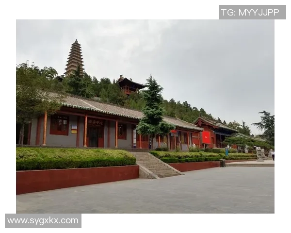 倪永康的政治生涯与影响力探讨：从官场风云到历史评价的全景分析